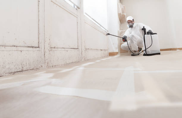 24/7 Emergency Black Mold Remediation experts in Senoia, GA