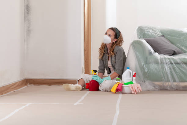 Reliable Black Mold Remediation contractor in Senoia, GA by 24 Hour Mold Removal